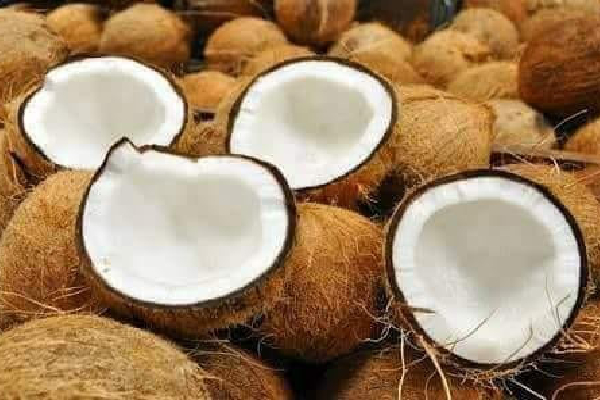 தேங்காய் விலையில் ஏற்பட்ட மாற்றம் !