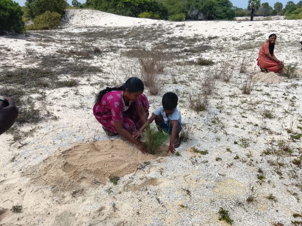 வடமராட்சி கிழக்கில் மரம் நடுகை