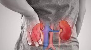 2.5 லட்ச மக்கள் சிறுநீரக செயலிழப்பால் உயிரிழப்பு