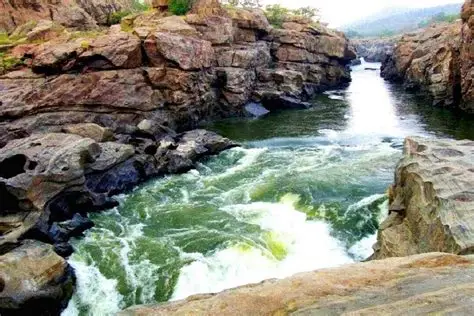 மேகதாது விவகாரம்: தமிழக அரசின் மறு ஆய்வு மனு நிராகரிப்பு