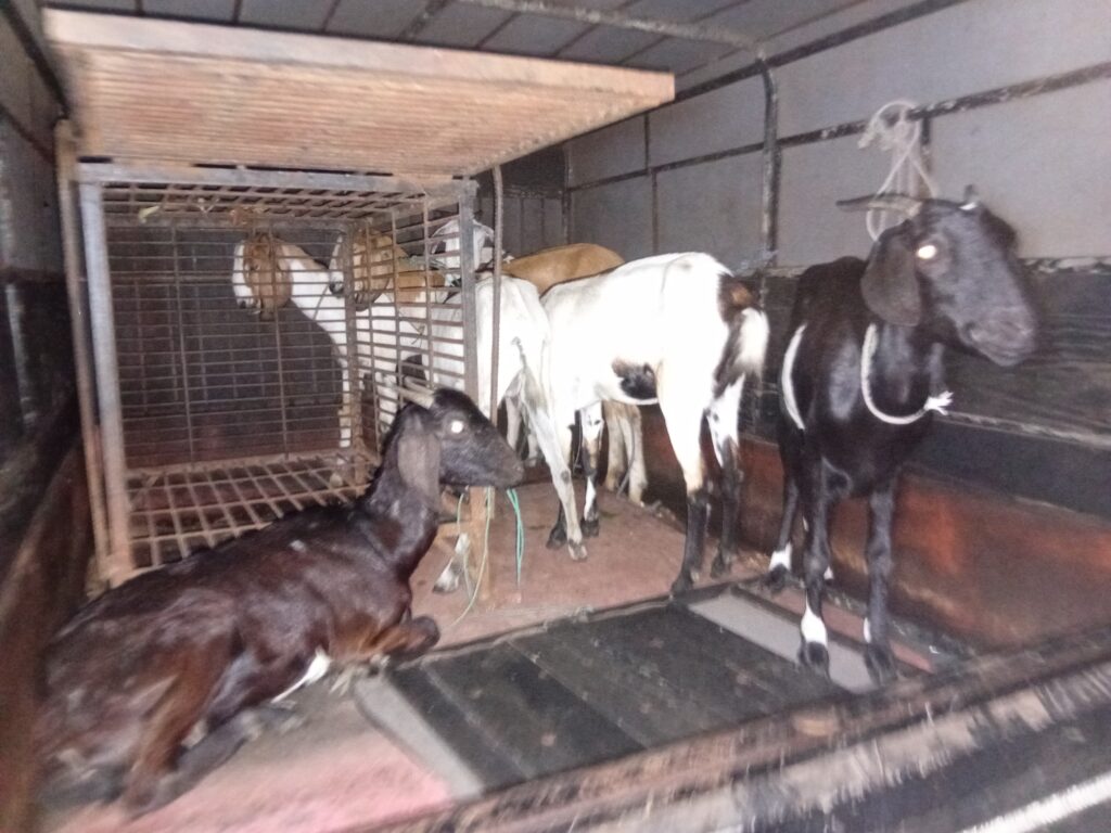 வேலணை மக்களிடம் மாட்டிய திருடர் குழு