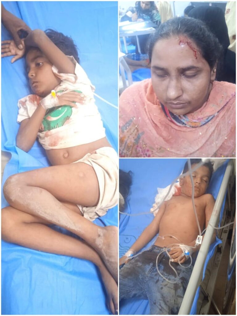 சுவர் ஏறிக்குதித்த சிங்கத்தின் உரிமையாளர் கைது