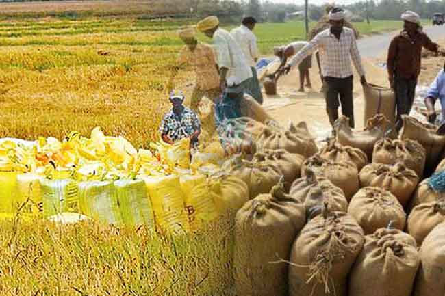 ஜனவரி 26ஆம் திகதி முதல் நெற்கொள்வனவு