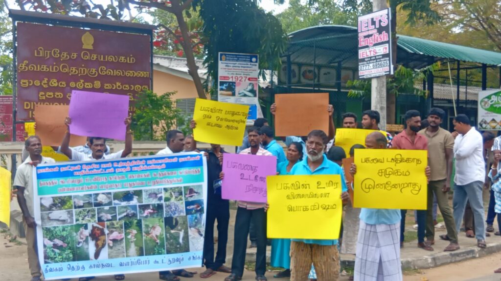 மாடுகளை திருடும் கும்பலை கட்டுப்படுத்தக் கோரி வேலணையில் போராட்டம்!