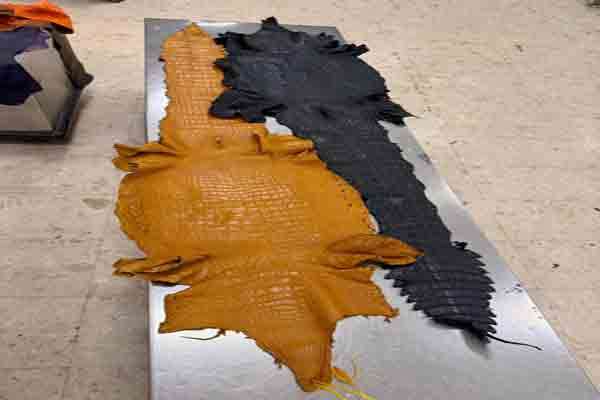 துணி எனக்கூறி விலங்குத் தோல்களை கொண்டுவந்த வர்த்தகர்