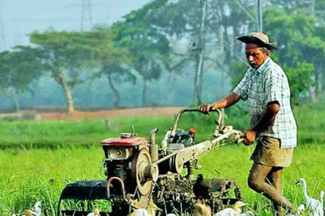 பயிர் சேதத்திற்கு 1,00,000 ரூபா வரை இழப்பீடு